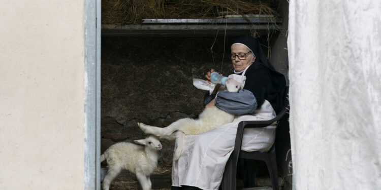 In sala Agnus Dei, la cura e la fede con sguardo laico