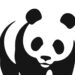 Wwf, ‘avvelenamenti di lupi e fauna, emergenza ambientale in Abruzzo’