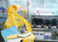 Hantavirus, individuata in Catalogna una donna entrata in contatto con virus