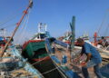 Pesca in economia di guerra, da Chioggia a Mazara uscite dimezzate