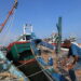 Pesca in economia di guerra, da Chioggia a Mazara uscite dimezzate