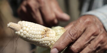 El Salvador, stato di emergenza nazionale per la siccità